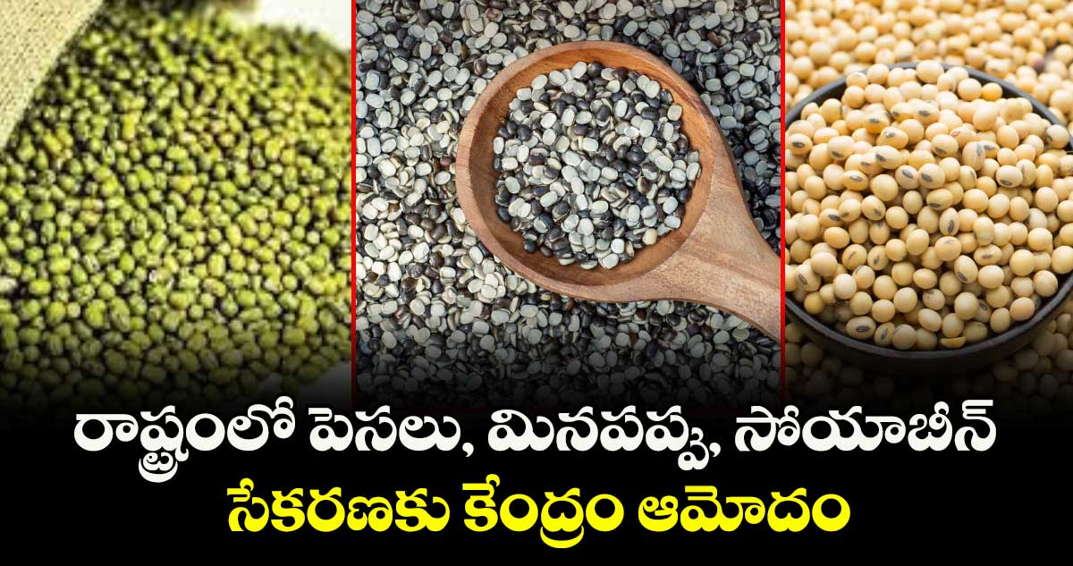 రాష్ట్రంలో పెసలు, మినపప్పు, సోయాబీన్ సేకరణకు కేంద్రం ఆమోదం
