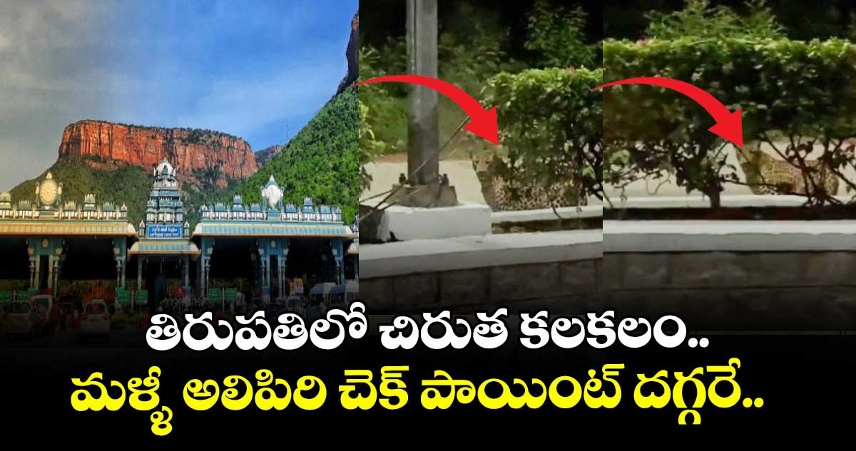తిరుపతిలో చిరుత కలకలం.. మళ్ళీ అలిపిరి చెక్ పాయింట్ దగ్గరే..