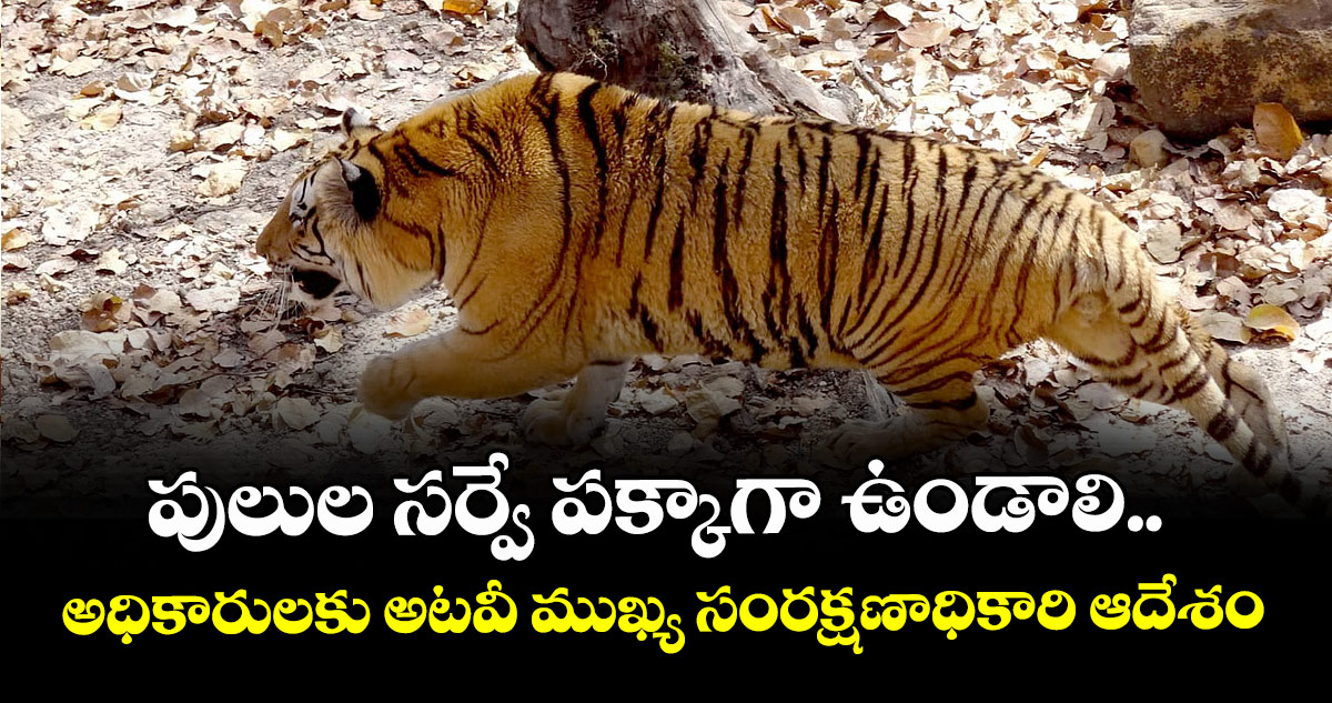 పులుల సర్వే పక్కాగా ఉండాలి..అధికారులకు అటవీ ముఖ్య సంరక్షణాధికారి ఆదేశం