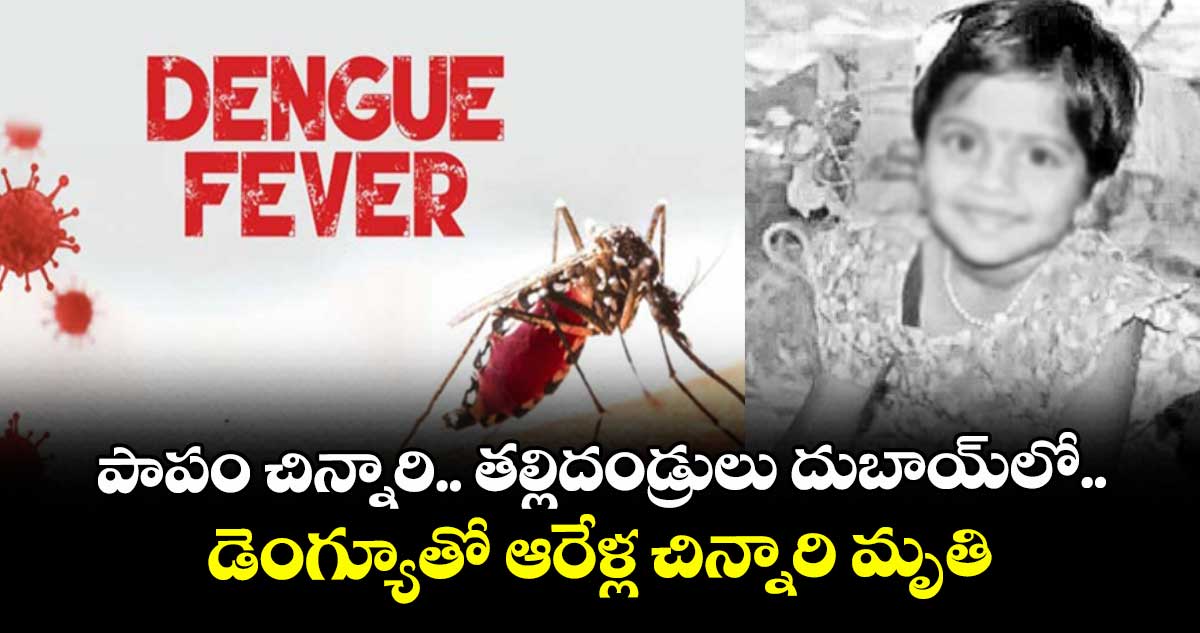 పాపం చిన్నారి.. తల్లిదండ్రులు దుబాయ్లో.. డెంగ్యూతో  ఆరేళ్ల చిన్నారి మృతి