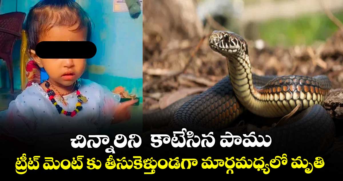 చిన్నారిని  కాటేసిన పాము.. ట్రీట్ మెంట్ కు తీసుకెళ్తుండగా మార్గమధ్యలో మృతి