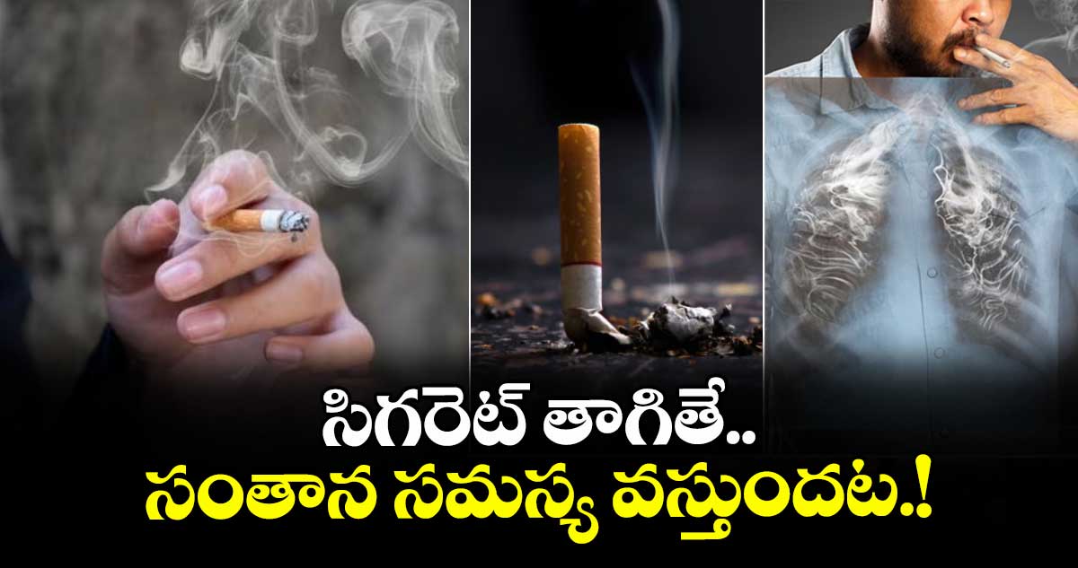 Health Alert: సిగరెట్ తాగితే.. సంతాన సమస్య వస్తుందట.!