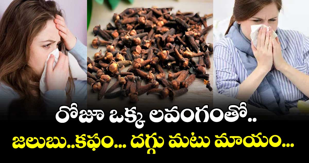 Winter Season:   రోజూ ఒక్క లవంగంతో..   జలుబు..కఫం... దగ్గు  మటు మాయం.. .