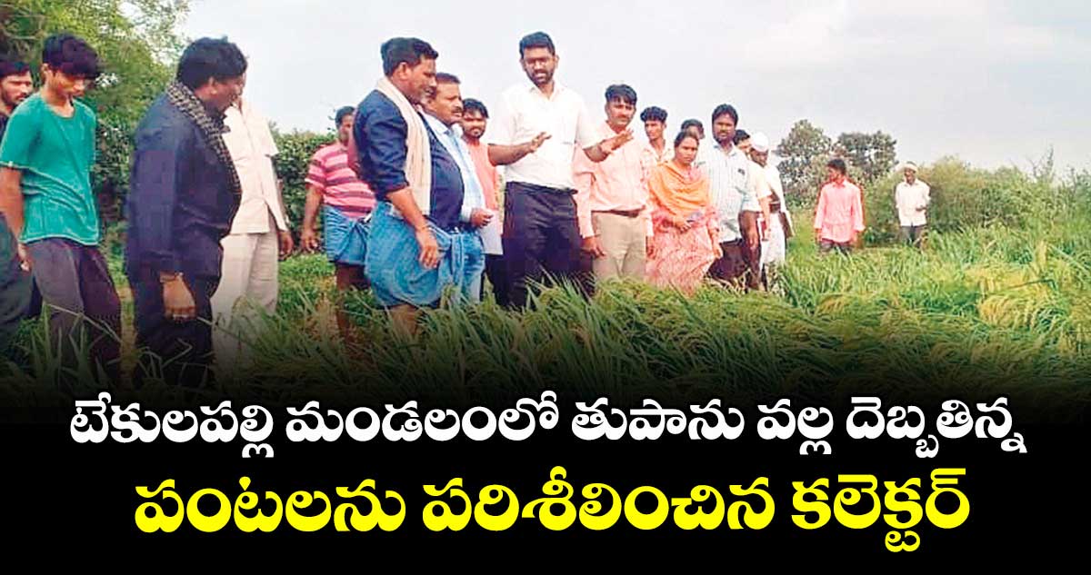 టేకులపల్లి మండలంలో తుపాను వల్ల దెబ్బతిన్న పంటలను పరిశీలించిన కలెక్టర్