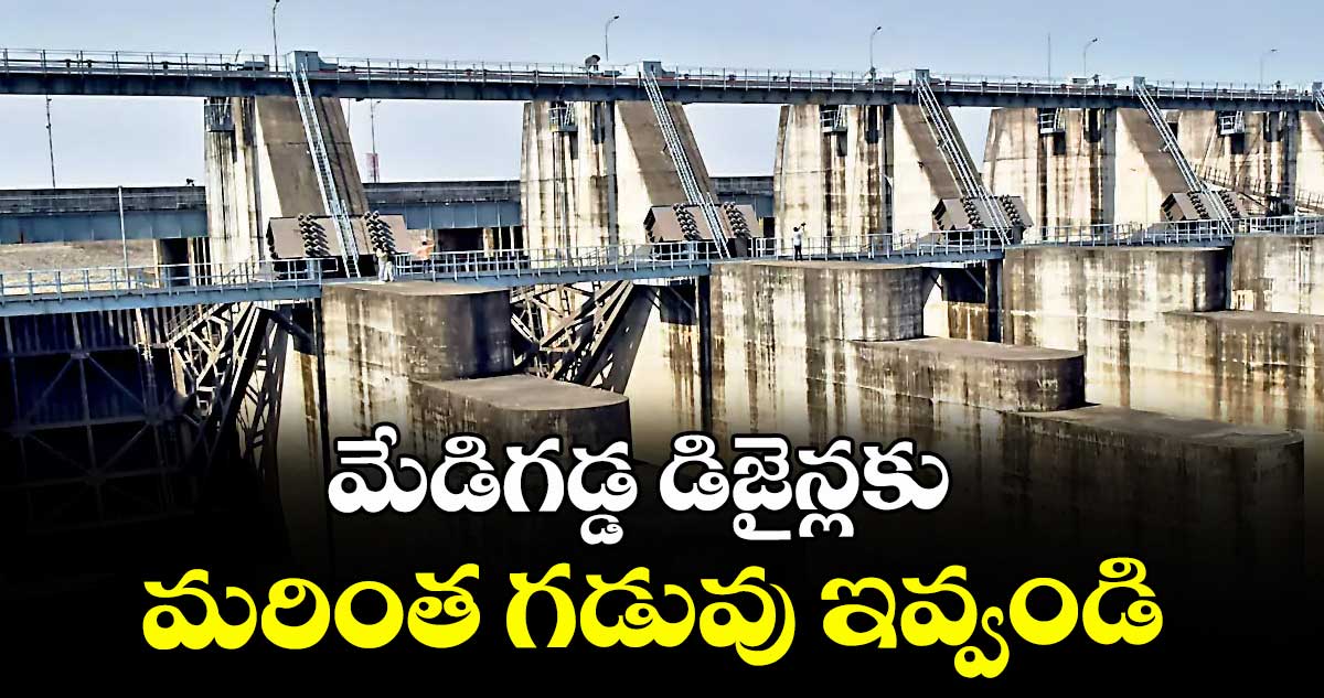మేడిగడ్డ డిజైన్లకు మరింత గడువు ఇవ్వండి