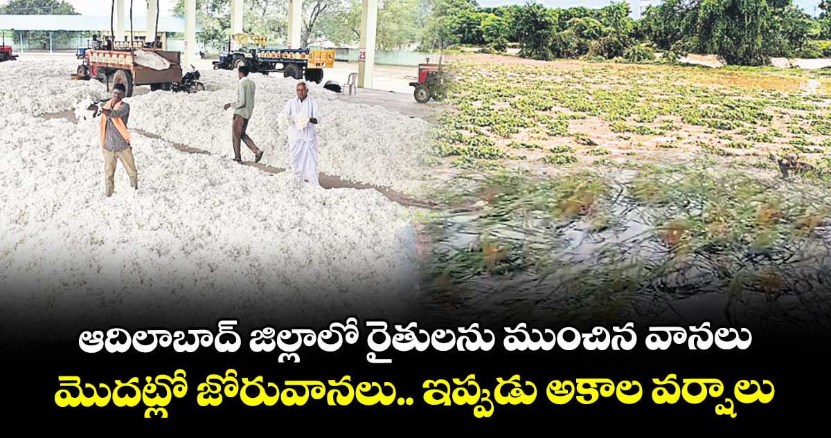 ఆదిలాబాద్ జిల్లాలో రైతులను ముంచిన వానలు..మొదట్లో జోరువానలు.. ఇప్పుడు అకాల వర్షాలు