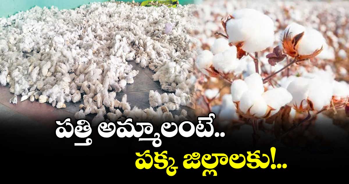 పత్తి అమ్మాలంటే.. పక్క జిల్లాలకు!..