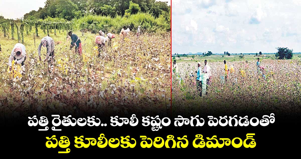 పత్తి రైతులకు.. కూలీ కష్టం సాగు పెరగడంతో పత్తి కూలీలకు పెరిగిన డిమాండ్