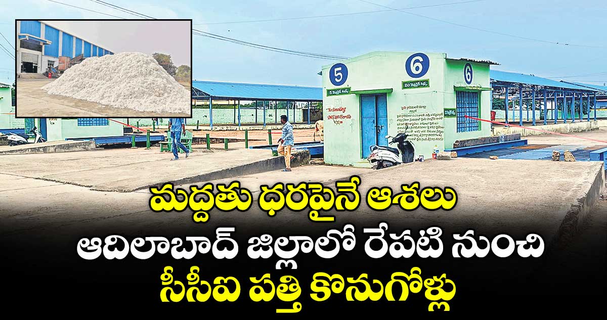 మద్దతు ధరపైనే ఆశలు.. ఆదిలాబాద్ జిల్లాలో రేపటి నుంచి సీసీఐ పత్తి కొనుగోళ్లు