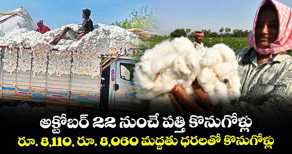 అక్టోబర్ 22 నుంచే పత్తి కొనుగోళ్లు..రూ. 8,110, రూ. 8,060 మద్దతు ధరలతో కొనుగోళ్లు