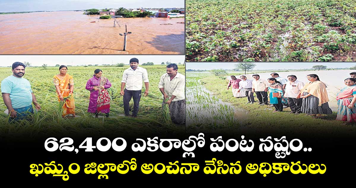 62,400 ఎకరాల్లో పంట నష్టం..ఖమ్మం జిల్లాలో అంచనా వేసిన అధికారులు