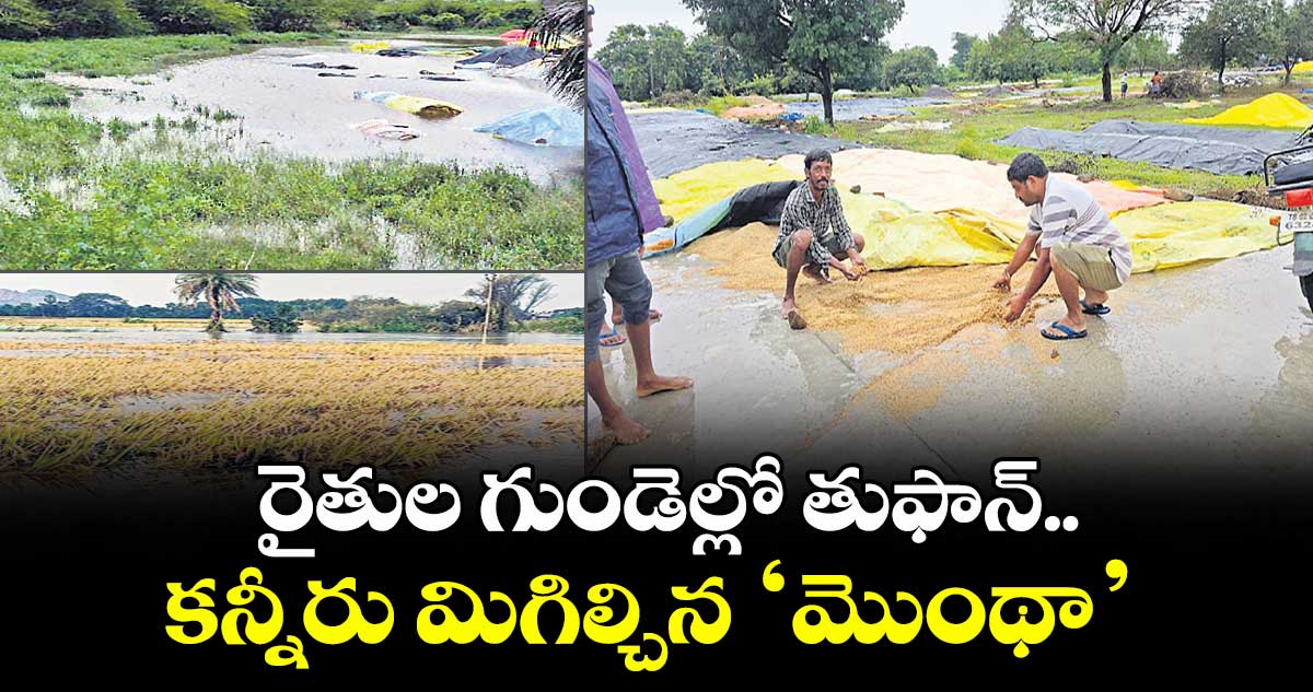 రైతుల గుండెల్లో తుఫాన్.. కన్నీరు మిగిల్చిన ‘మొంథా’