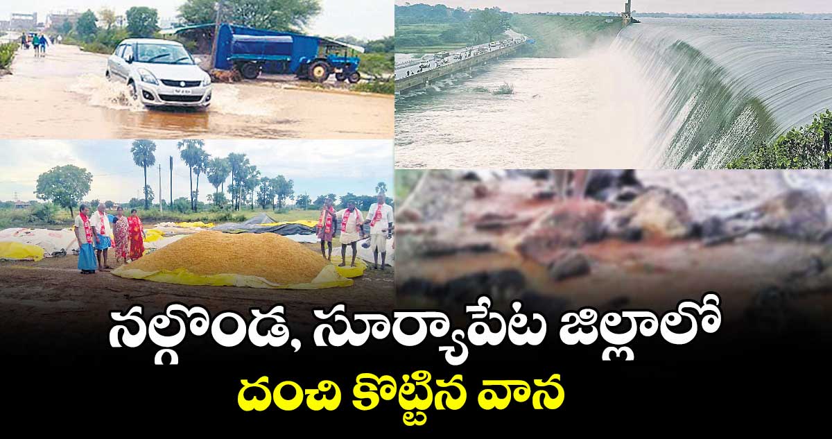 నల్గొండ, సూర్యాపేట జిల్లాలో దంచి కొట్టిన వాన