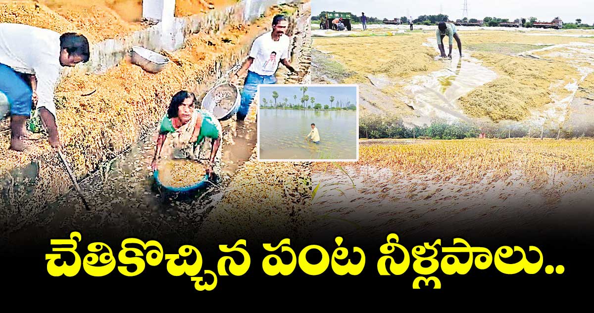 చేతికొచ్చిన పంట నీళ్లపాలు