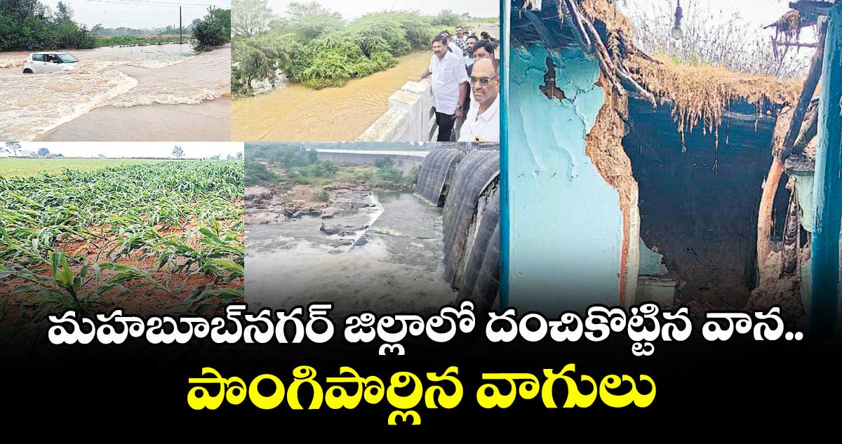 మహబూబ్నగర్ జిల్లాలో దంచికొట్టిన వాన..  పొంగిపొర్లిన వాగులు