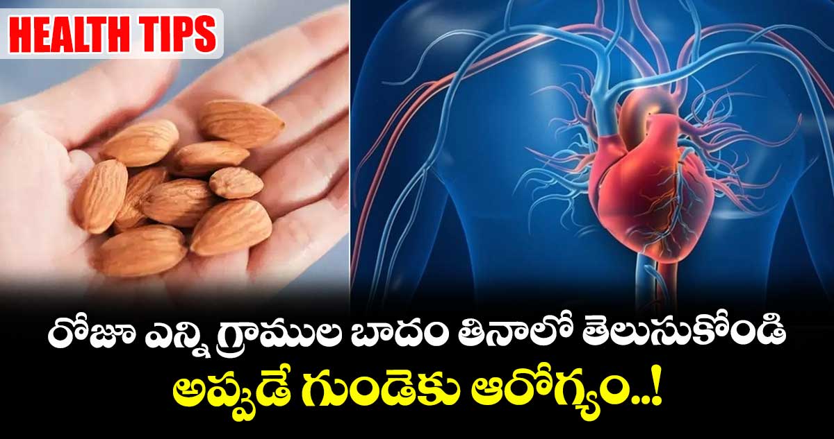 Health Tips : రోజూ ఎన్ని గ్రాముల బాదం తినాలో తెలుసుకోండి.. అప్పుడే గుండెకు ఆరోగ్యం..!