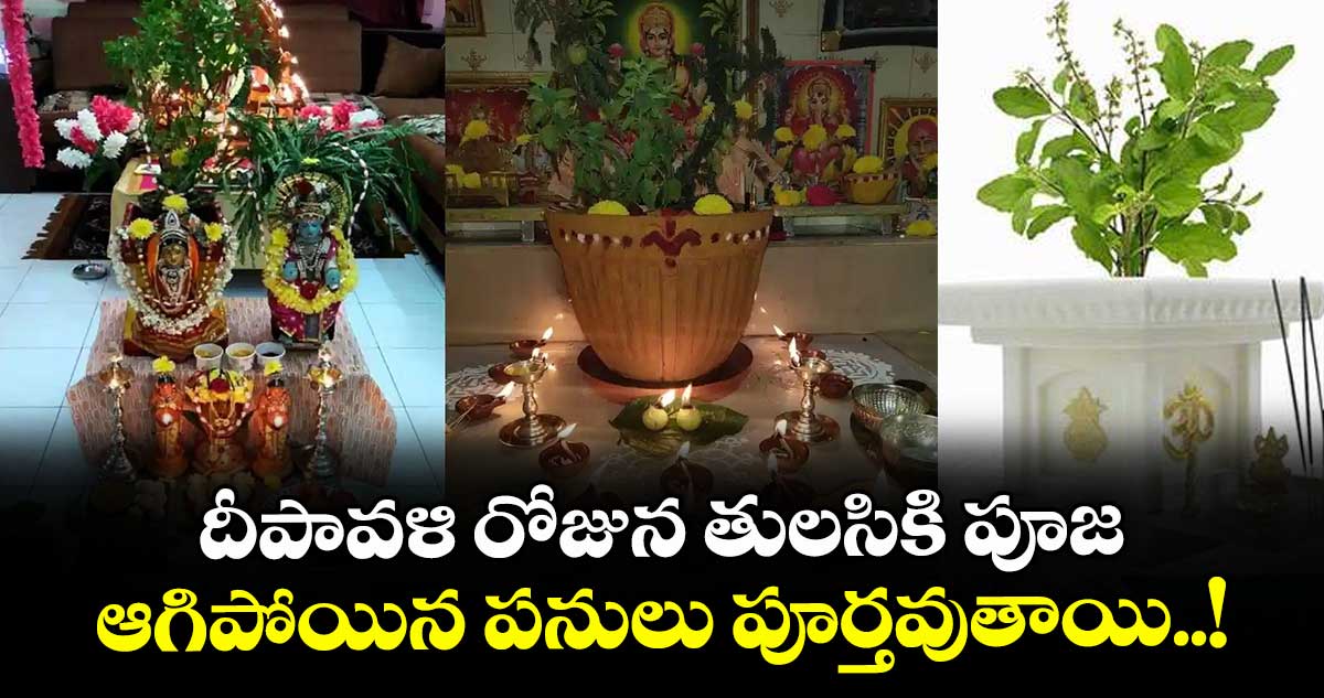 Diwali Special : దీపావళి రోజున తులసికి పూజ.. ఆగిపోయిన పనులు పూర్తవుతాయి..!
