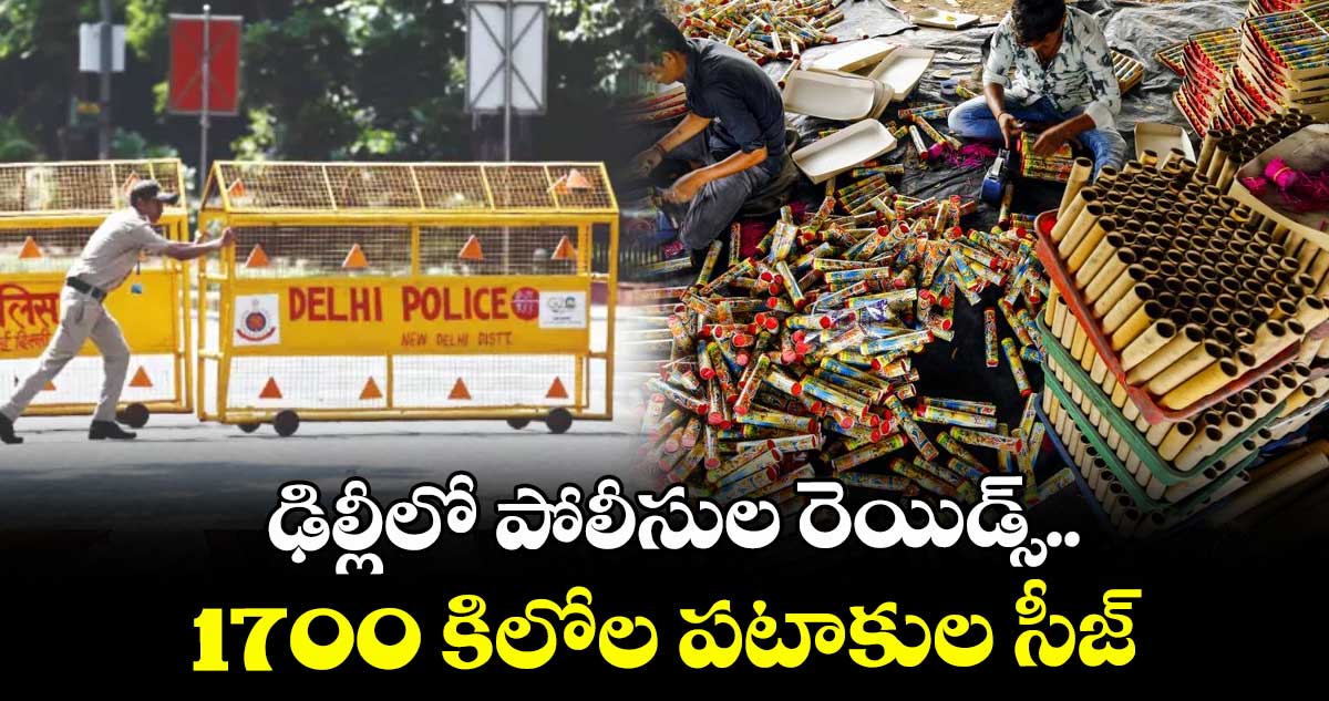ఢిల్లీలో పోలీసుల రెయిడ్స్.. 1700 కిలోల పటాకుల సీజ్