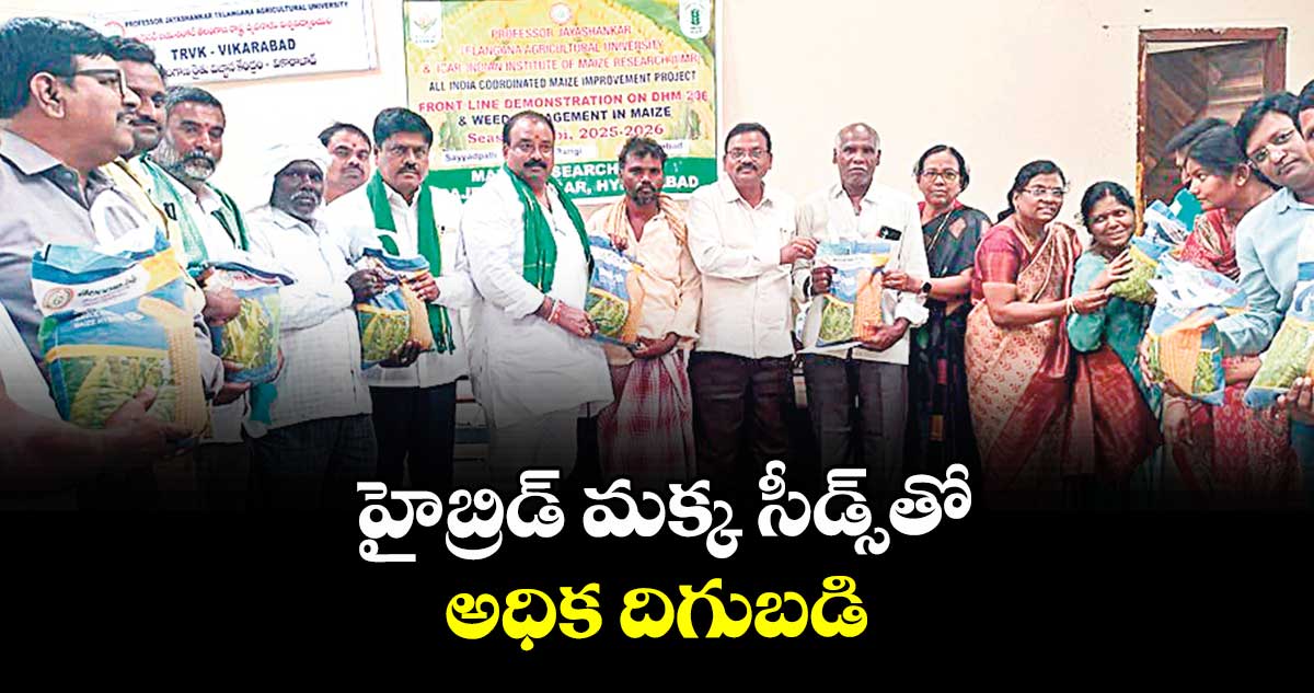 హైబ్రిడ్ మక్క సీడ్స్తో అధిక దిగుబడి