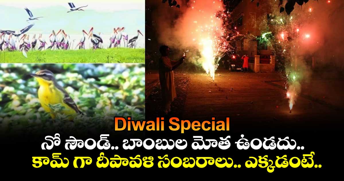 Diwali Special : నో సౌండ్... బాంబుల మోత ఉండదు.. కామ్ గా దీపావళి సంబరాలు.. ఎక్కడంటే..