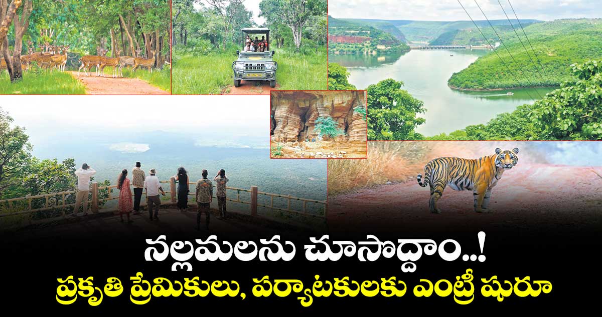 నల్లమలను చూసొద్దాం..! ప్రకృతి ప్రేమికులు, పర్యాటకులకు ఎంట్రీ షురూ