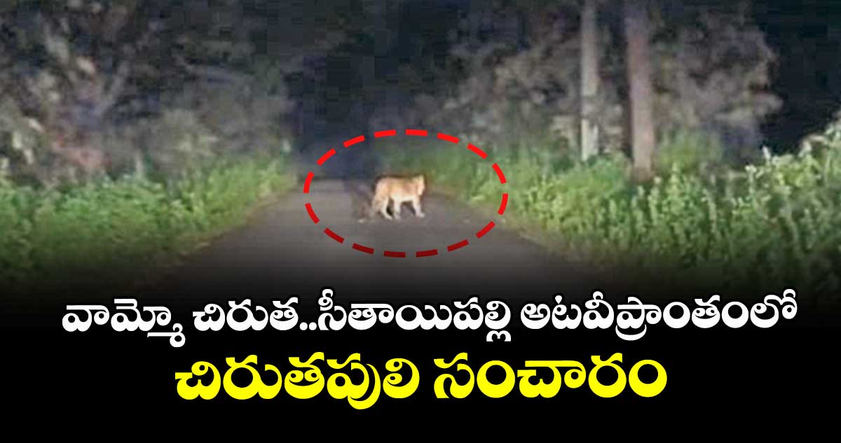 వామ్మో చిరుత..సీతాయిపల్లి  అటవీప్రాంతంలో చిరుతపులి సంచారం