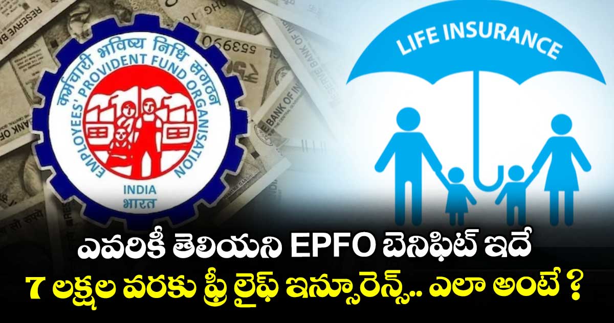 ఎవరికీ తెలియని EPFO బెనిఫిట్ ఇదే: 7 లక్షల వరకు ఫ్రీ లైఫ్ ఇన్సూరెన్స్.. ఎలా అంటే ?