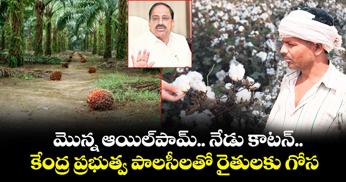 మొన్న ఆయిల్ పామ్. నేడు కాటన్.. కేంద్ర ప్రభుత్వ పాలసీలతో రైతులకు గోస