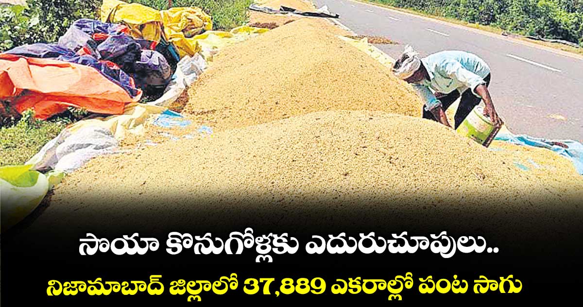 సొయా కొనుగోళ్లకు ఎదురుచూపులు.. నిజామాబాద్ జిల్లాలో 37,889 ఎకరాల్లో పంట సాగు