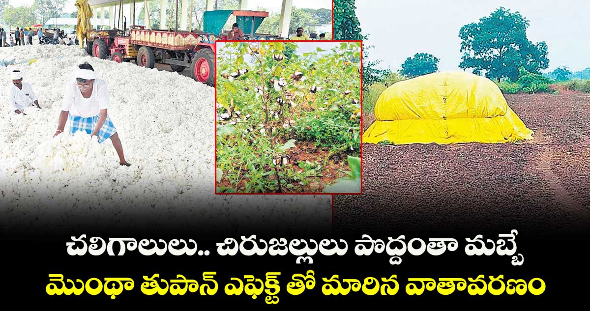 చలిగాలులు.. చిరుజల్లులు పొద్దంతా మబ్బే.. మొంథా తుపాన్ ఎఫెక్ట్ తో మారిన వాతావరణం