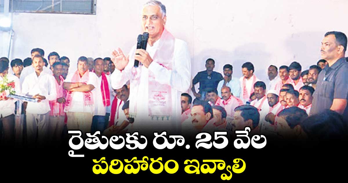 రైతులకు రూ. 25 వేల పరిహారం ఇవ్వాలి