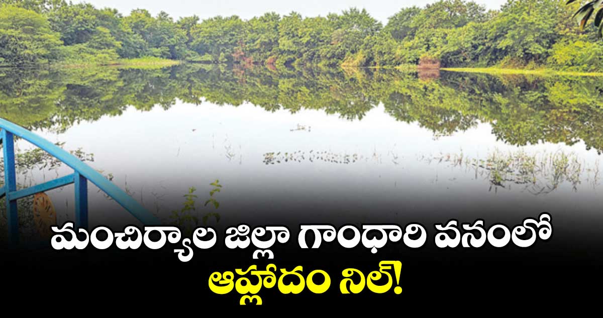 మంచిర్యాల జిల్లా గాంధారి వనంలో ఆహ్లాదం నిల్!