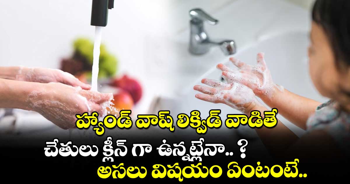హ్యాండ్ వాష్ లిక్విడ్ వాడితే చేతులు క్లీన్ గా ఉన్నట్లేనా.. ? అసలు విషయం ఏంటంటే..