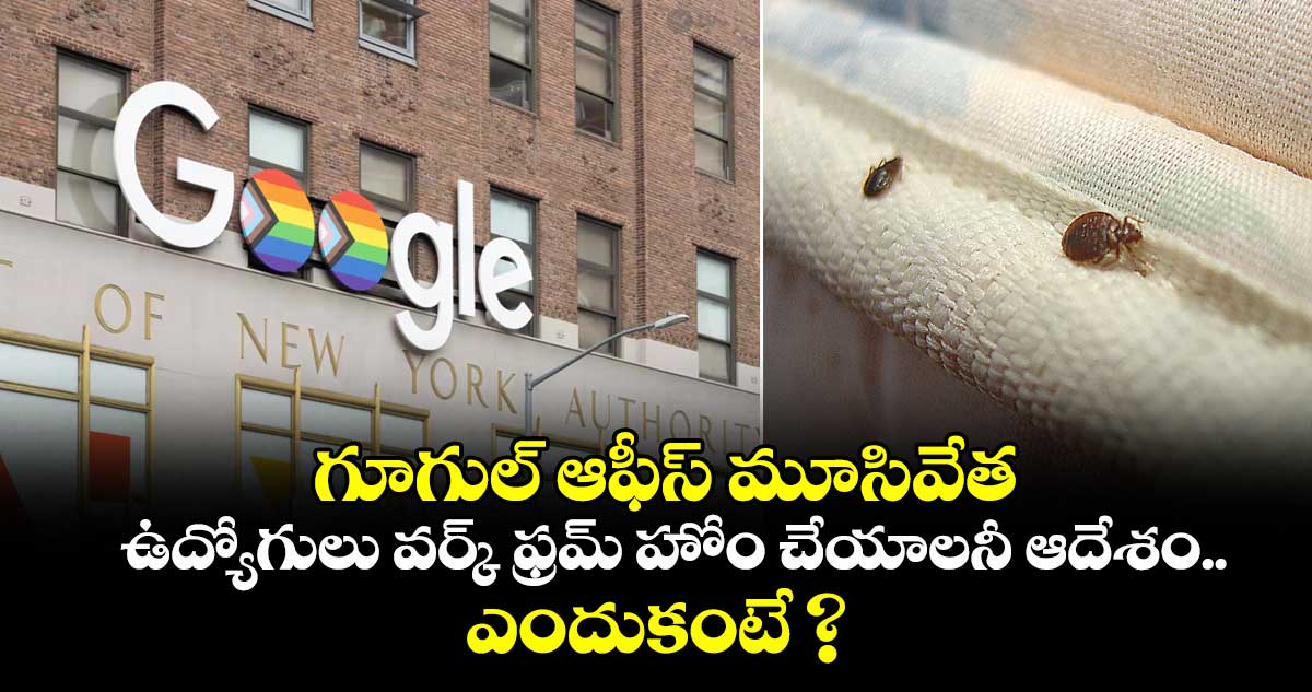 గూగుల్ ఆఫీస్ మూసివేత: ఉద్యోగులు వర్క్ ఫ్రమ్ హోం చేయాలనీ ఆదేశం.. ఎందుకంటే ?