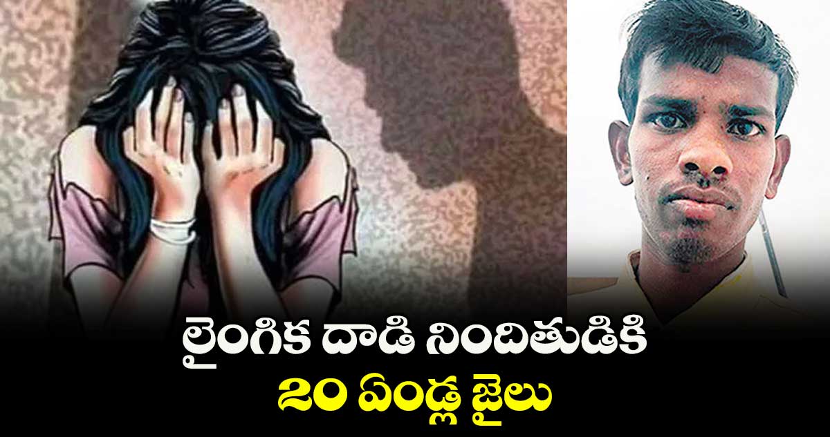 లైంగిక దాడి నిందితుడికి  20 ఏండ్ల జైలు