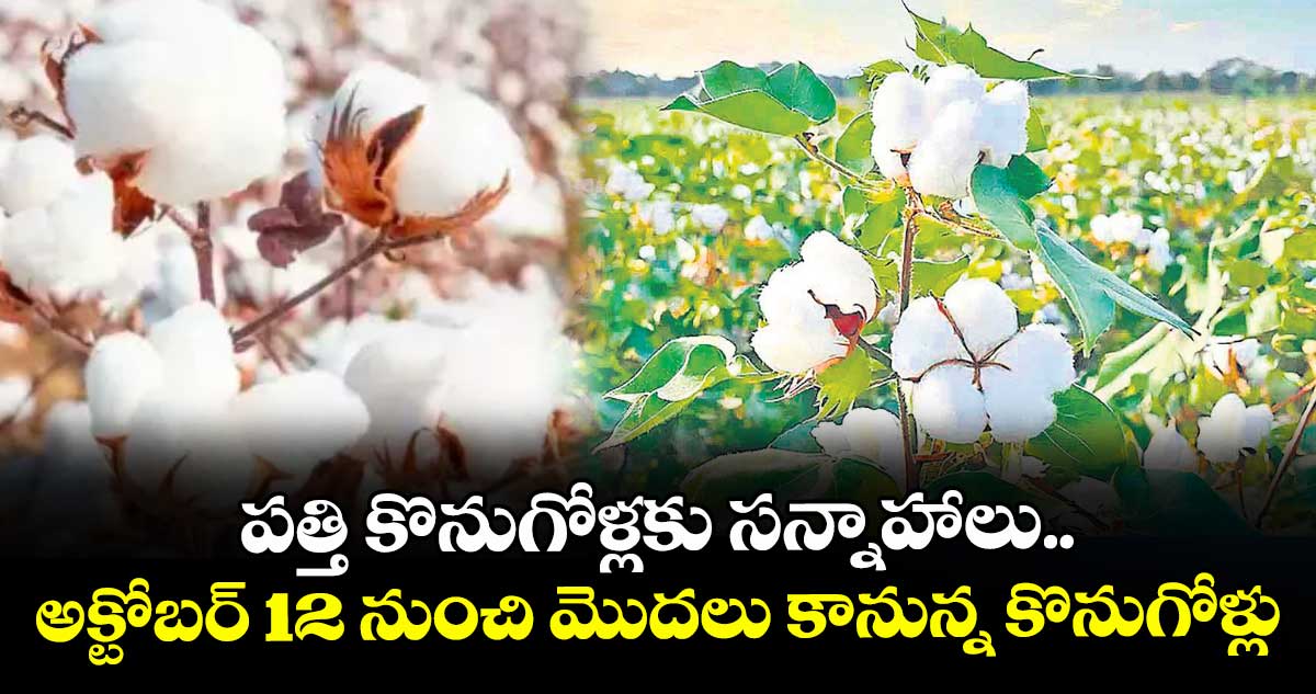 పత్తి కొనుగోళ్లకు సన్నాహాలు..అక్టోబర్ 12 నుంచి మొదలు కానున్న కొనుగోళ్లు