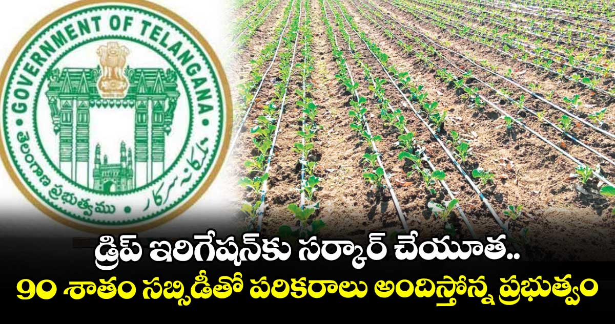 డ్రిప్ ఇరిగేషన్కు సర్కార్ చేయూత.. 90 శాతం సబ్సిడీతో పరికరాలు అందిస్తోన్న ప్రభుత్వం