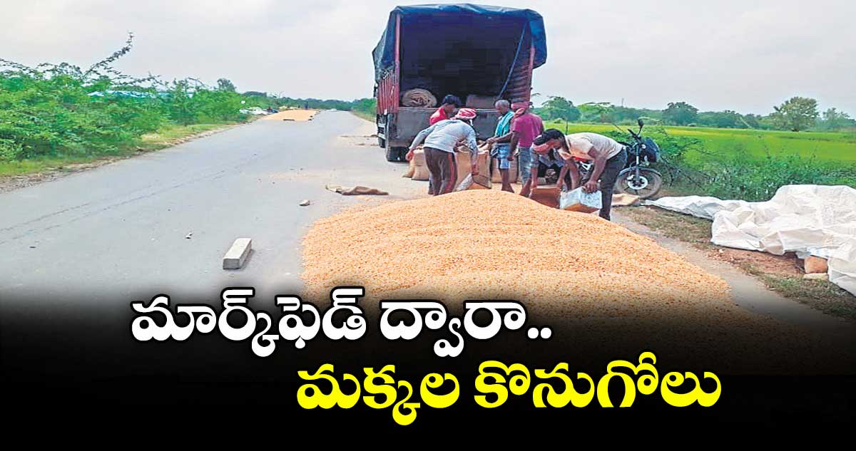 మార్క్ఫెడ్ ద్వారా మక్కల కొనుగోలు