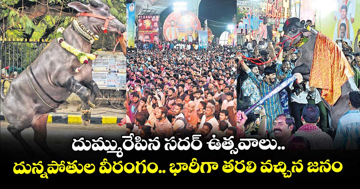 దుమ్మురేపిన సదర్ ఉత్సవాలు.. దున్నపోతుల వీరంగం.. భారీగా తరలి వచ్చిన జనం