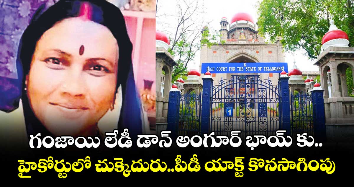 గంజాయి లేడీ డాన్ అంగూర్ భాయ్ కు.. హైకోర్టులో చుక్కెదురు..పీడీ యాక్ట్ కొనసాగింపు