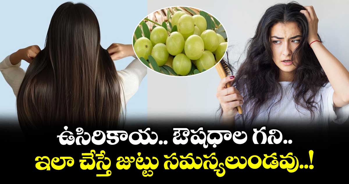 Health Tips: ఉసిరికాయ.. ఔషధాల గని.. ఇలా చేస్తే జుట్టు సమస్యలుండవు..!