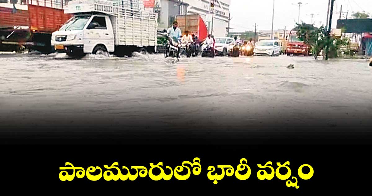 పాలమూరులో భారీ వర్షం