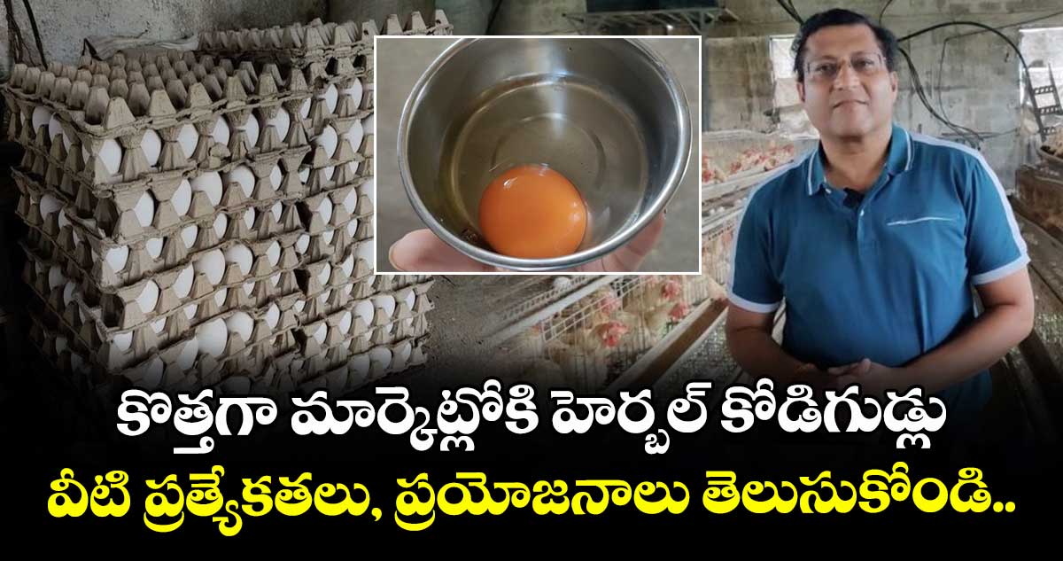 కొత్తగా మార్కెట్లోకి హెర్బల్ కోడిగుడ్లు.. వీటి ప్రత్యేకతలు, ప్రయోజనాలు తెలుసుకోండి..