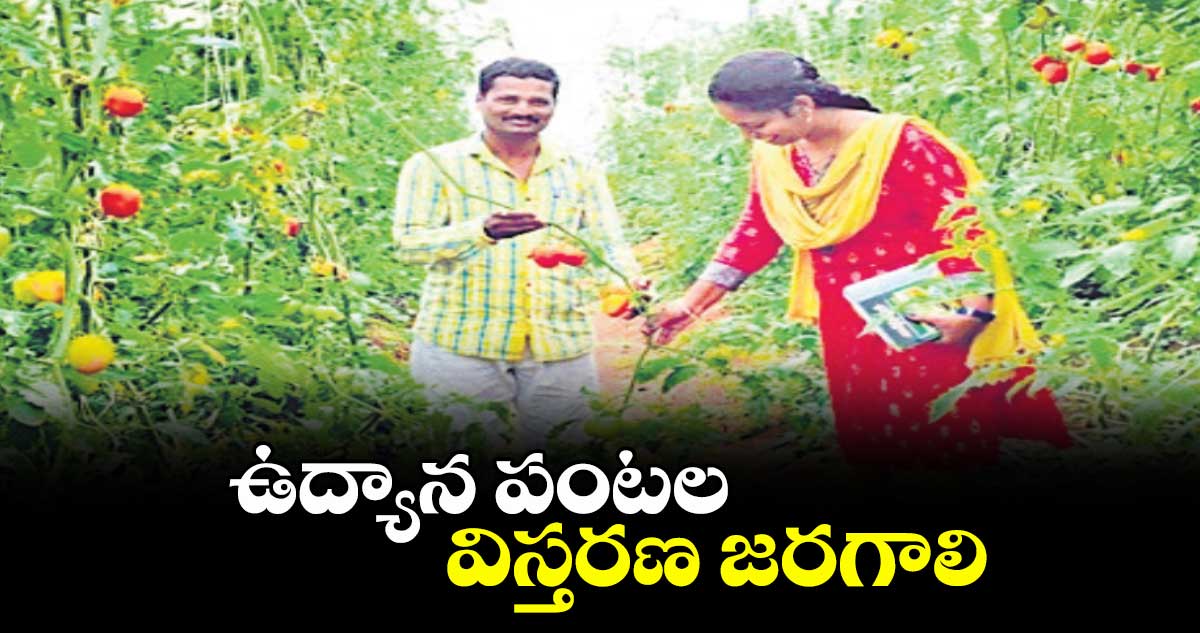 ఉద్యాన పంటల విస్తరణ జరగాలి