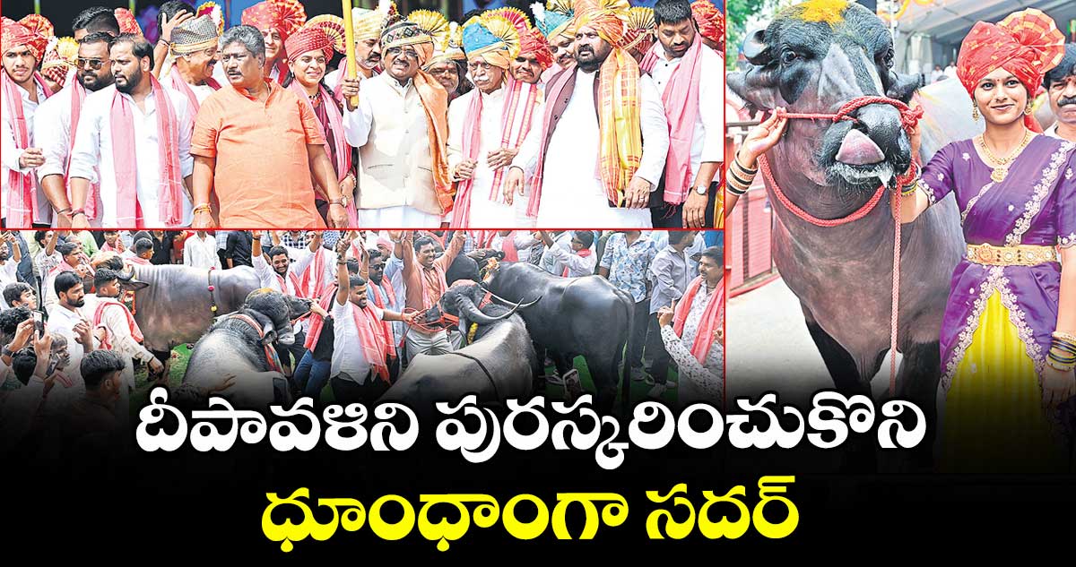 దీపావళిని పురస్కరించుకొని ధూంధాంగా సదర్