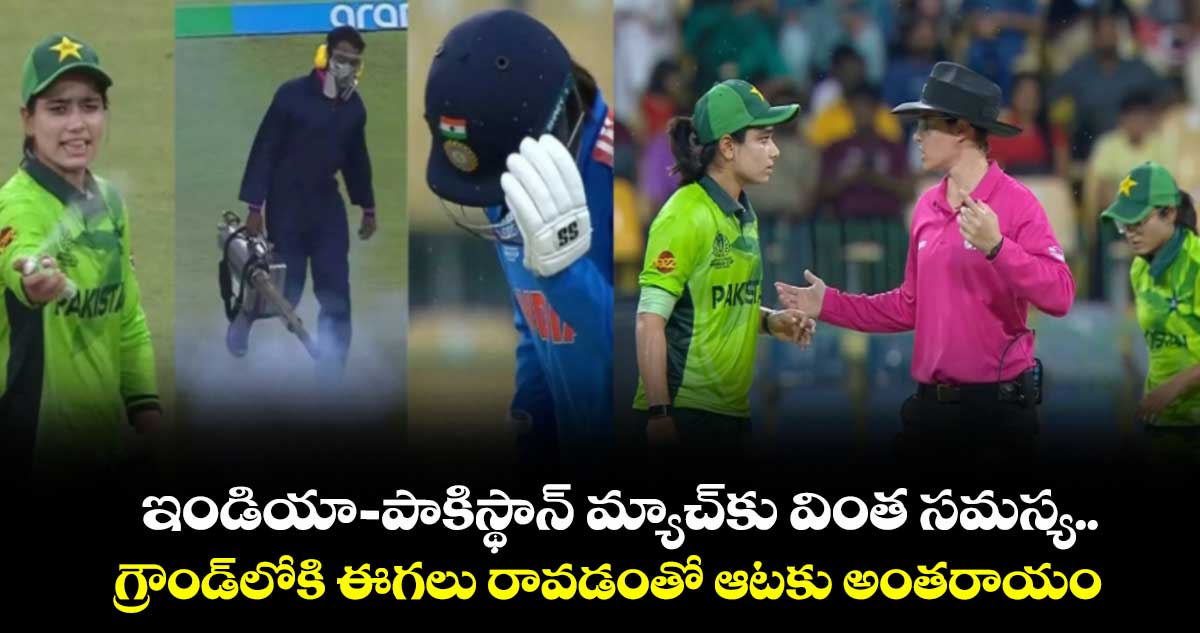 IND VS PAK: ఇండియా- పాకిస్థాన్ మ్యాచ్‌కు వింత సమస్య.. గ్రౌండ్‏లోకి ఈగలు రావడంతో ఆటకు అంతరాయం