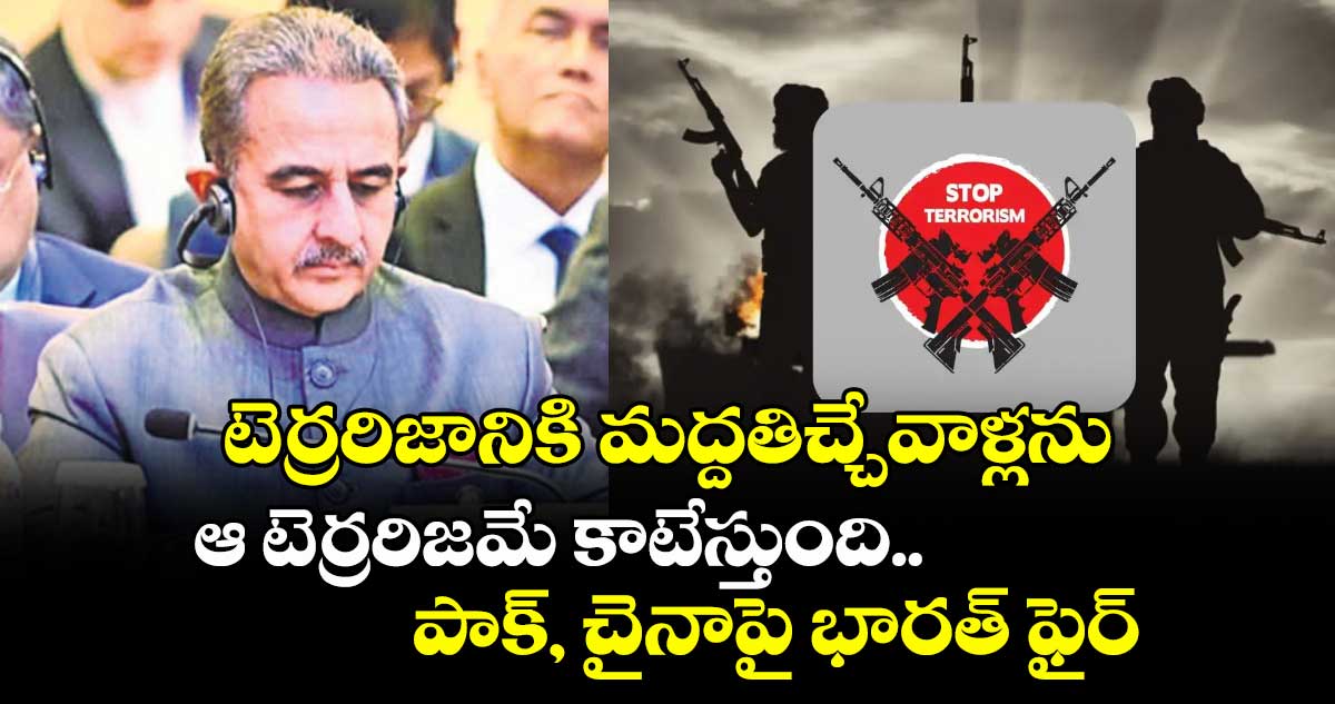 టెర్రరిజానికి మద్దతిచ్చేవాళ్లను ఆ టెర్రరిజమే కాటేస్తుంది..పాక్, చైనాపై భారత్ ఫైర్