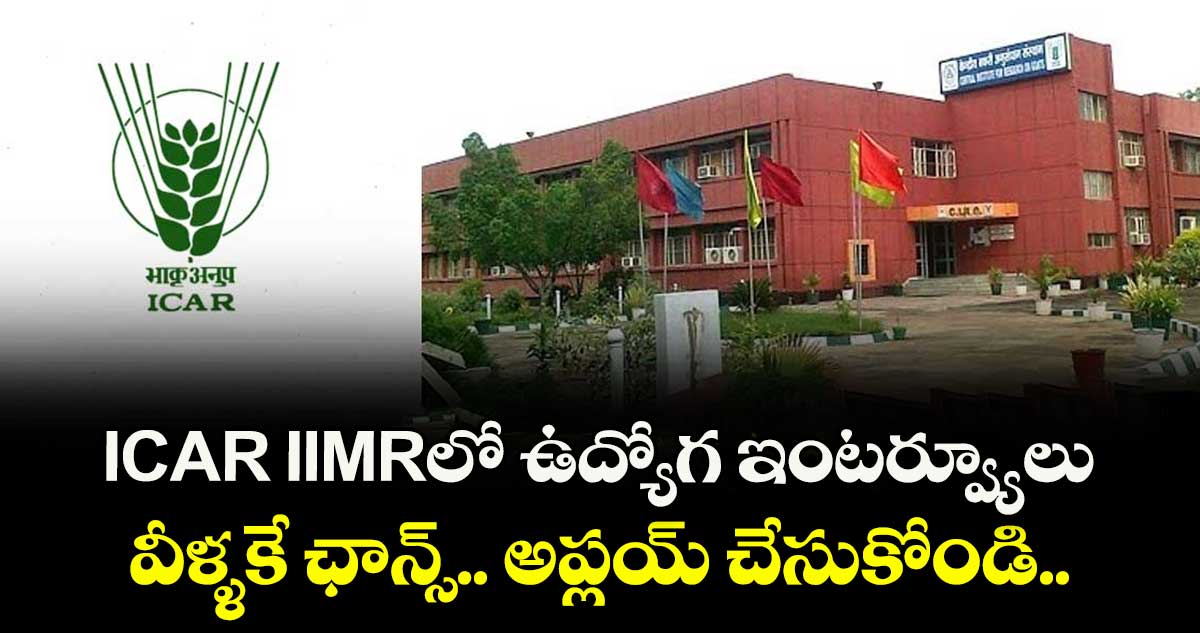  ICAR IIMRలో  ఉద్యోగ ఇంటర్వ్యూలు.. వీళ్ళకే ఛాన్స్.. అప్లయ్  చేసుకోండి.. 