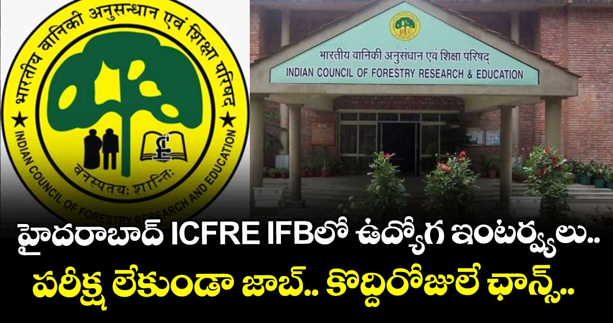 హైదరాబాద్ ICFRE IFBలో ఉద్యోగ ఇంటర్వ్యలు.. పరీక్ష లేకుండా జాబ్.. కొద్దిరోజులే ఛాన్స్..