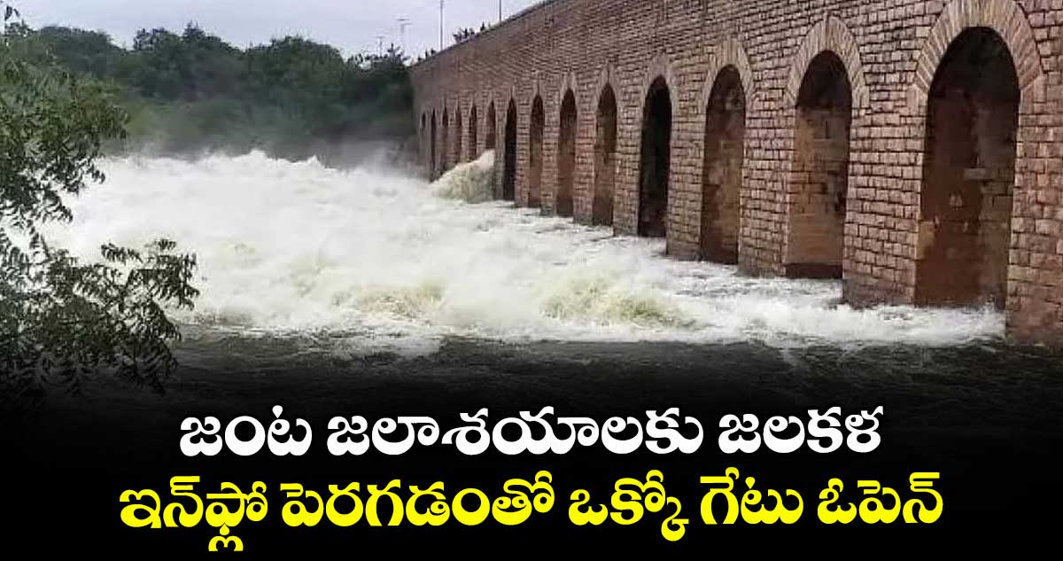 జంట జలాశయాలకు జలకళ... ఇన్ఫ్లో పెరగడంతో ఒక్కో గేటు ఓపెన్